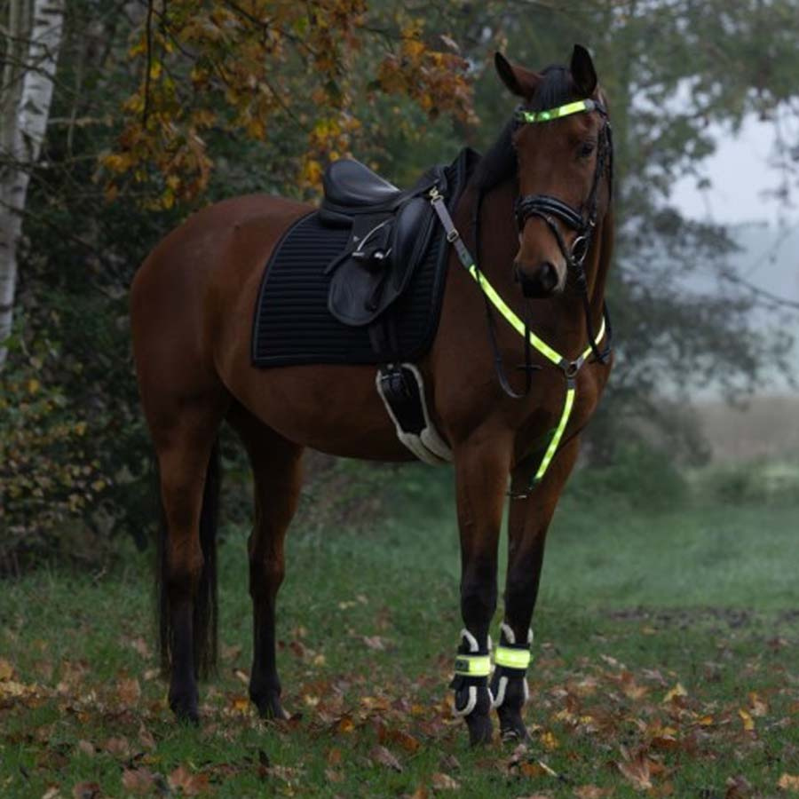Beenreflectoren High-Visibility LED 2-pack Geel