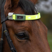 Stirnband High-Visibility LED Geel Stirnband High-Visibility LED Geel