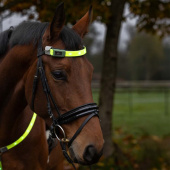 Stirnband High-Visibility LED Geel Stirnband High-Visibility LED Geel