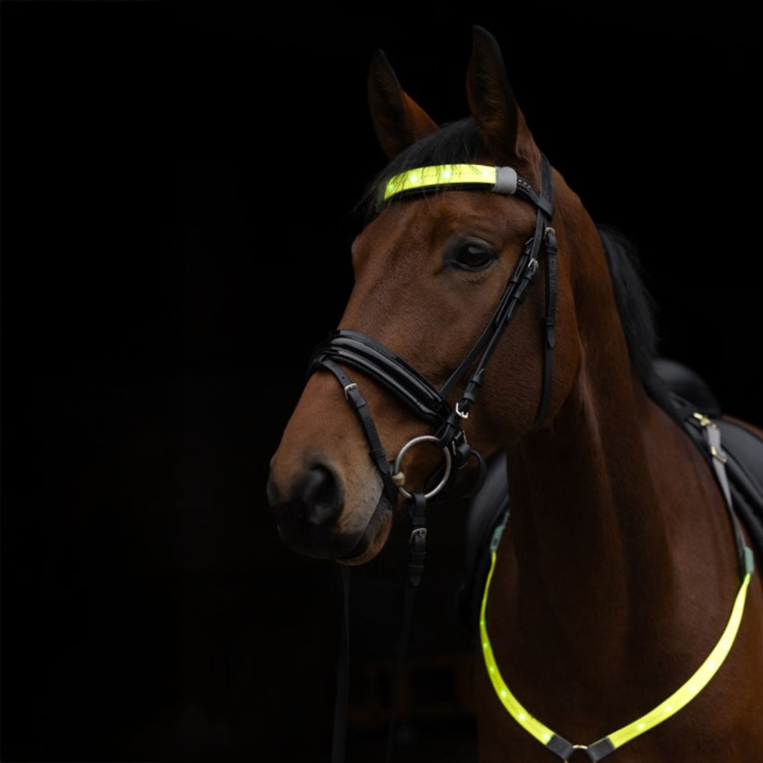 Stirnband High-Visibility LED Geel