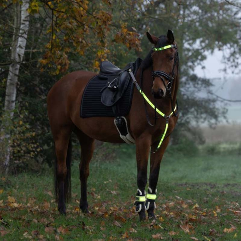 Stirnband High-Visibility LED Geel
