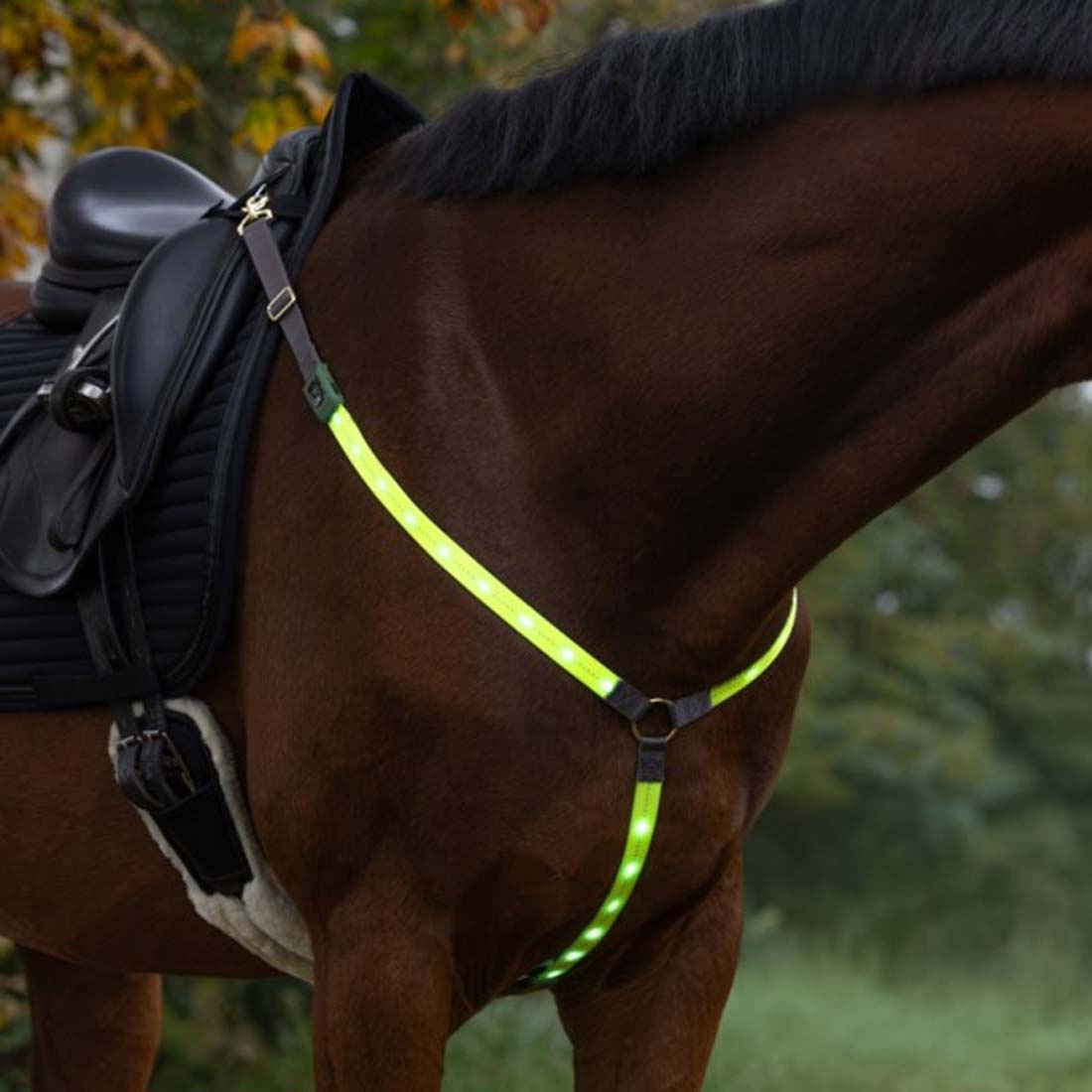 Borst High-Visibility LED Geel