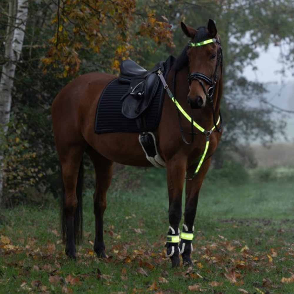 Borst High-Visibility LED Geel