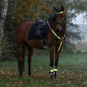 Borst High-Visibility LED Geel Borst High-Visibility LED Geel