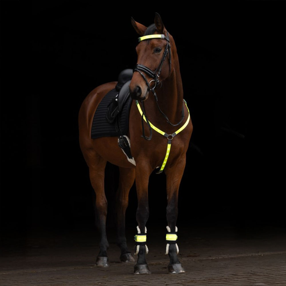 Borst High-Visibility LED Geel
