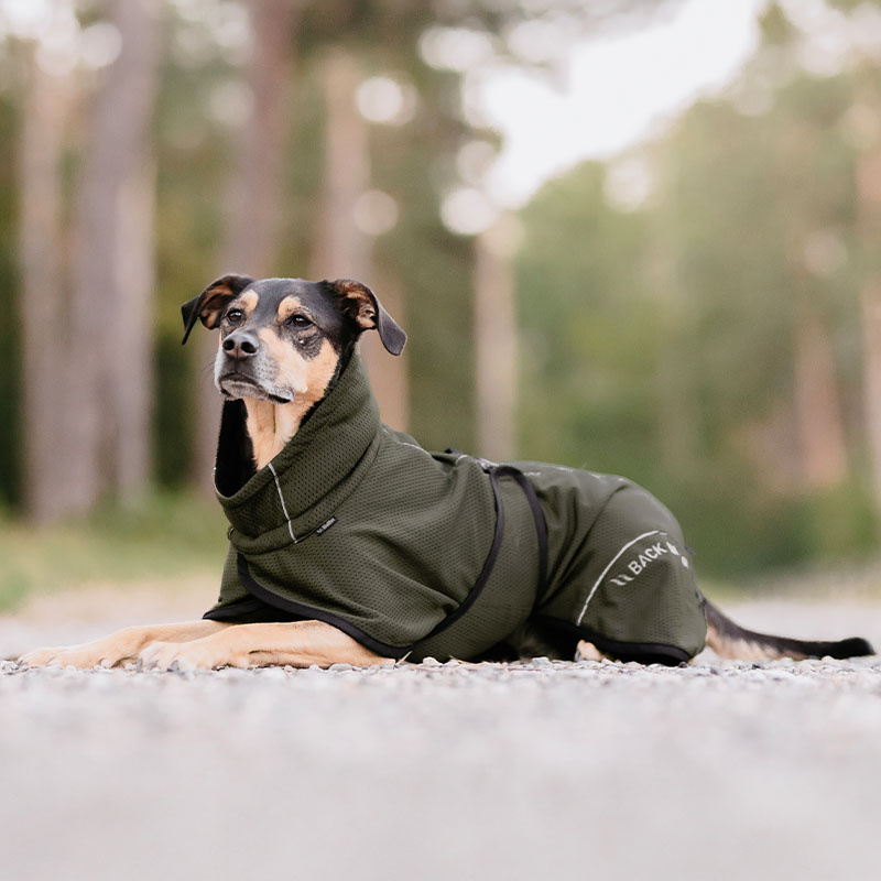 Honden Meshjas Bay High Tail Olijfgroen