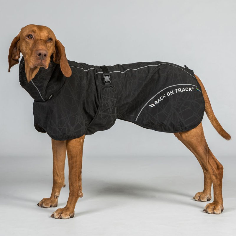 Honden Regenjas Bay High Tail Zwart