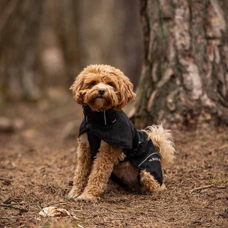 Honden Regenjas Bay High Tail Zwart