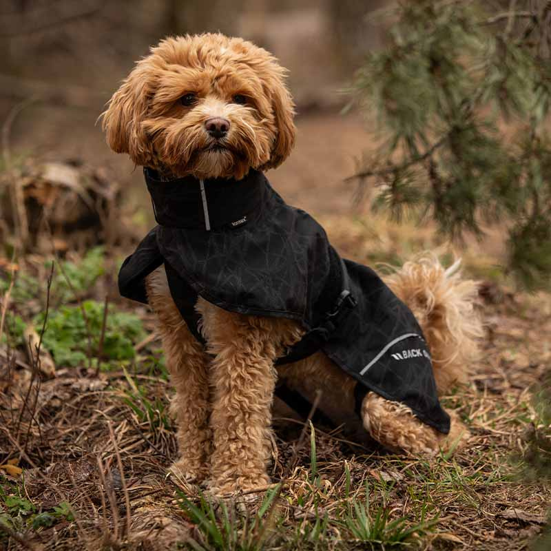 Honden Regenjas Bay High Tail Zwart