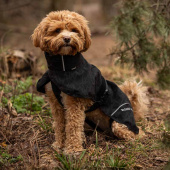 Honden Regenjas Bay High Tail Zwart Honden Regenjas Bay High Tail Zwart