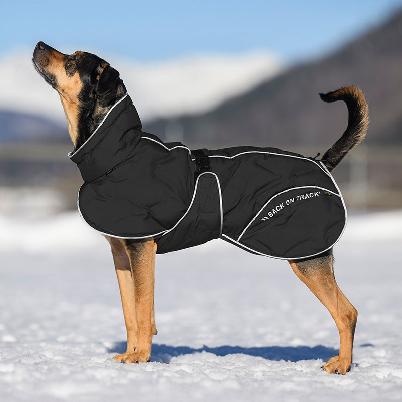 Honden Winterjas Bay High Tail Zwart