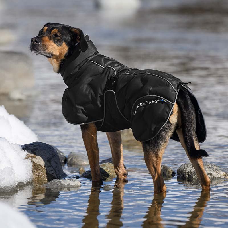 Honden Winterjas Bay High Tail Zwart