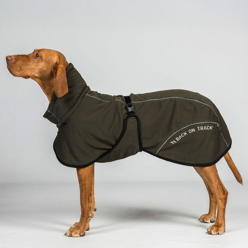 Honden Meshjas Bay Low Tail Olijfgroen
