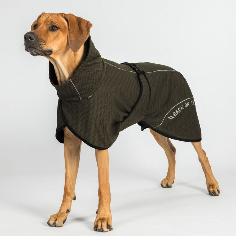 Honden Meshjas Bay Low Tail Olijfgroen