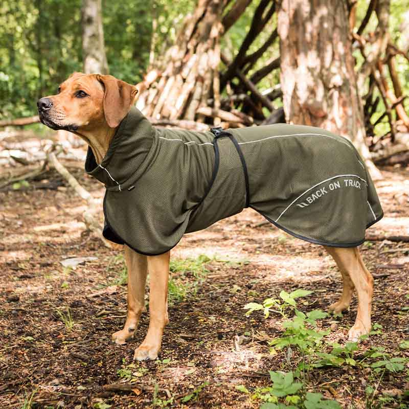 Honden Meshjas Bay Low Tail Olijfgroen
