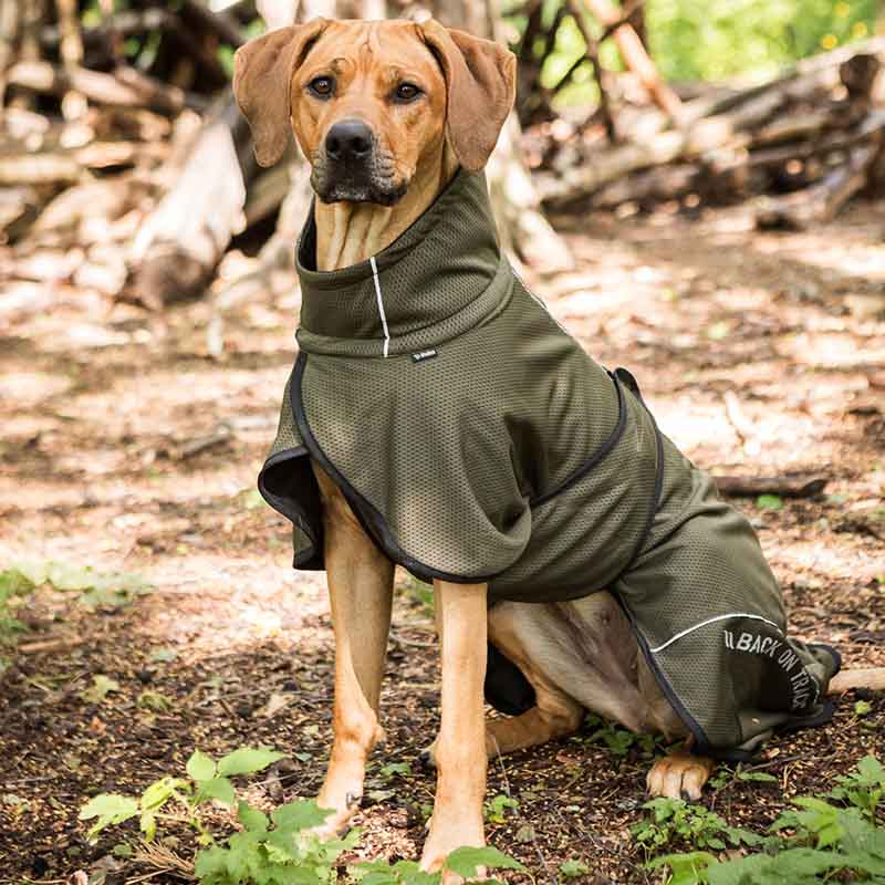 Honden Meshjas Bay Low Tail Olijfgroen