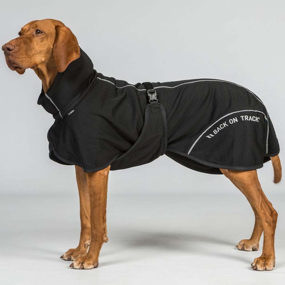 Honden Meshjas Bay Low Tail Zwart