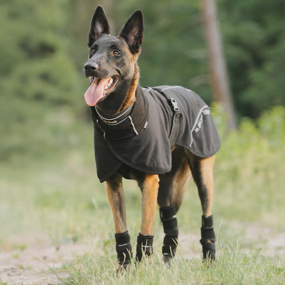 Honden Meshjas Bay Low Tail Zwart