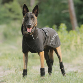 Honden Meshjas Bay Low Tail Zwart Honden Meshjas Bay Low Tail Zwart