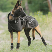 Honden Meshjas Bay Low Tail Zwart Honden Meshjas Bay Low Tail Zwart