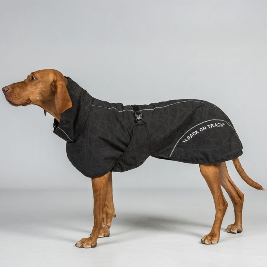 Honden Regenjas Bay Low Tail Zwart