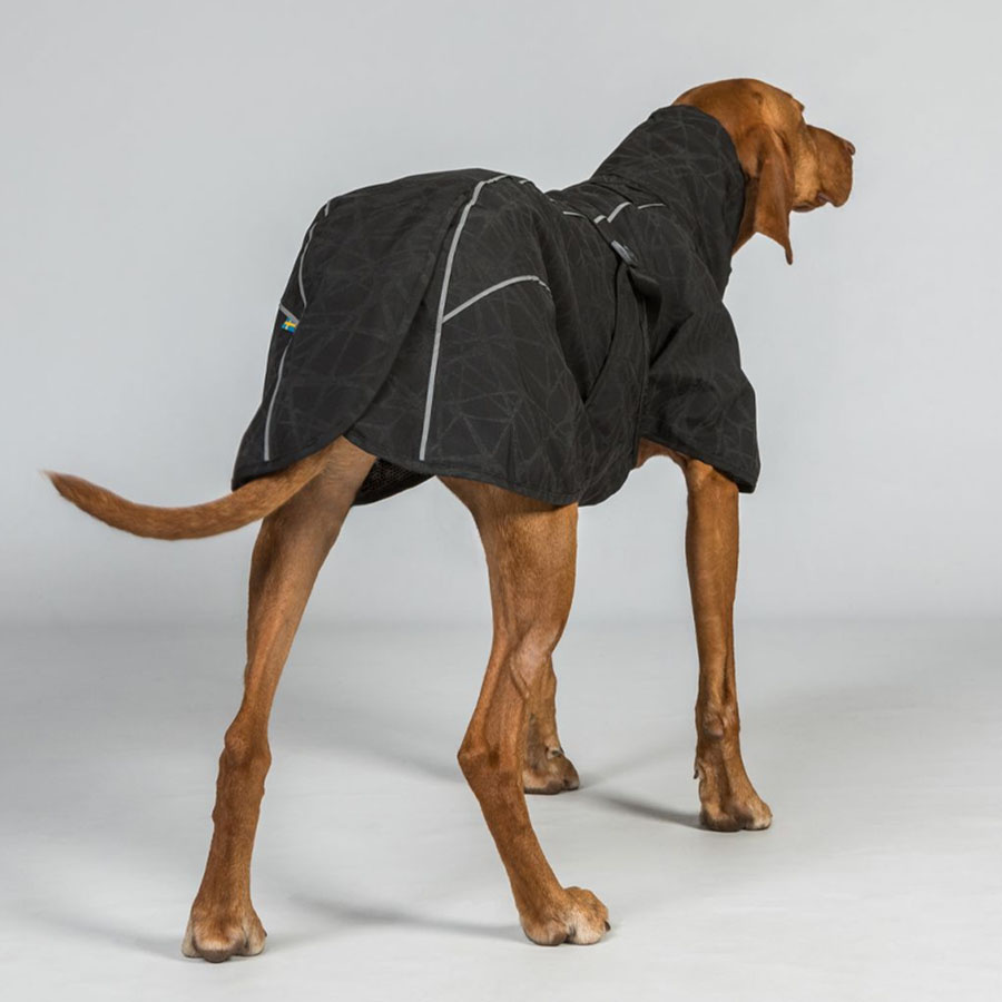 Honden Regenjas Bay Low Tail Zwart