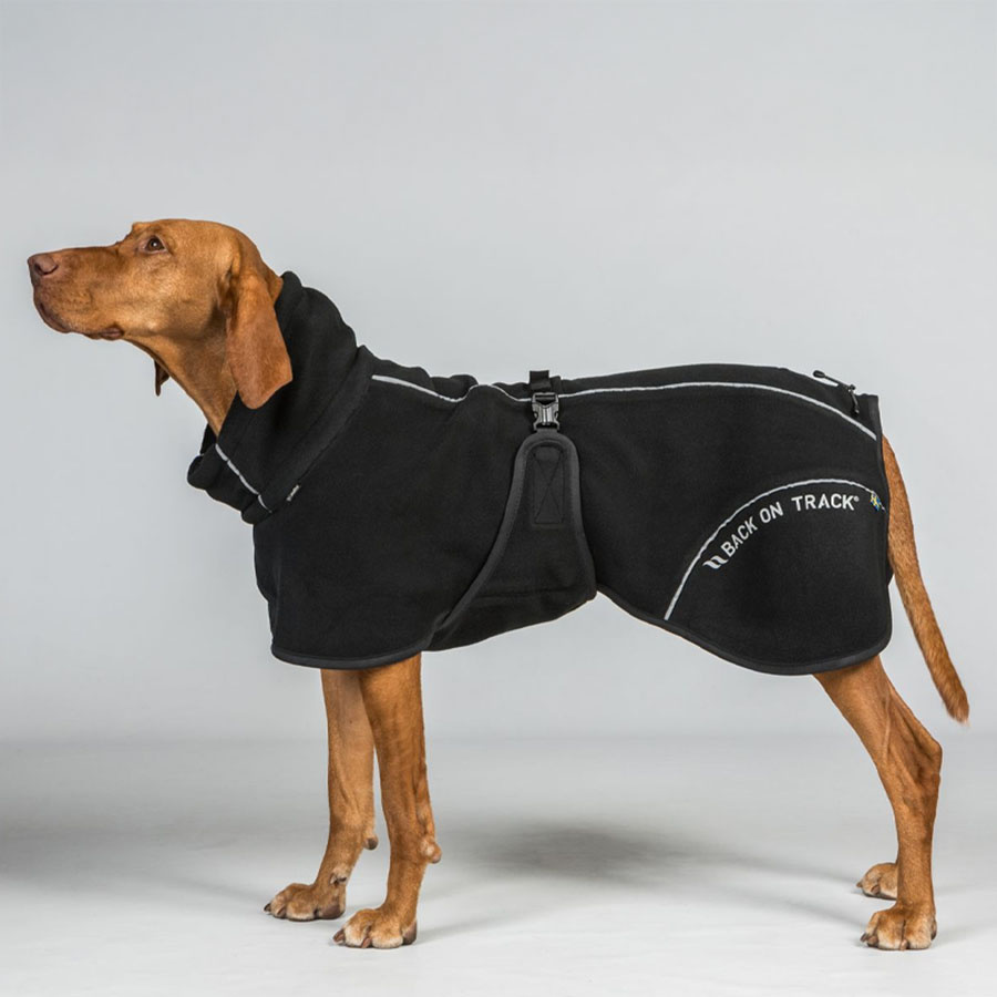 Honden Fleecejas Bay High Tail Zwart