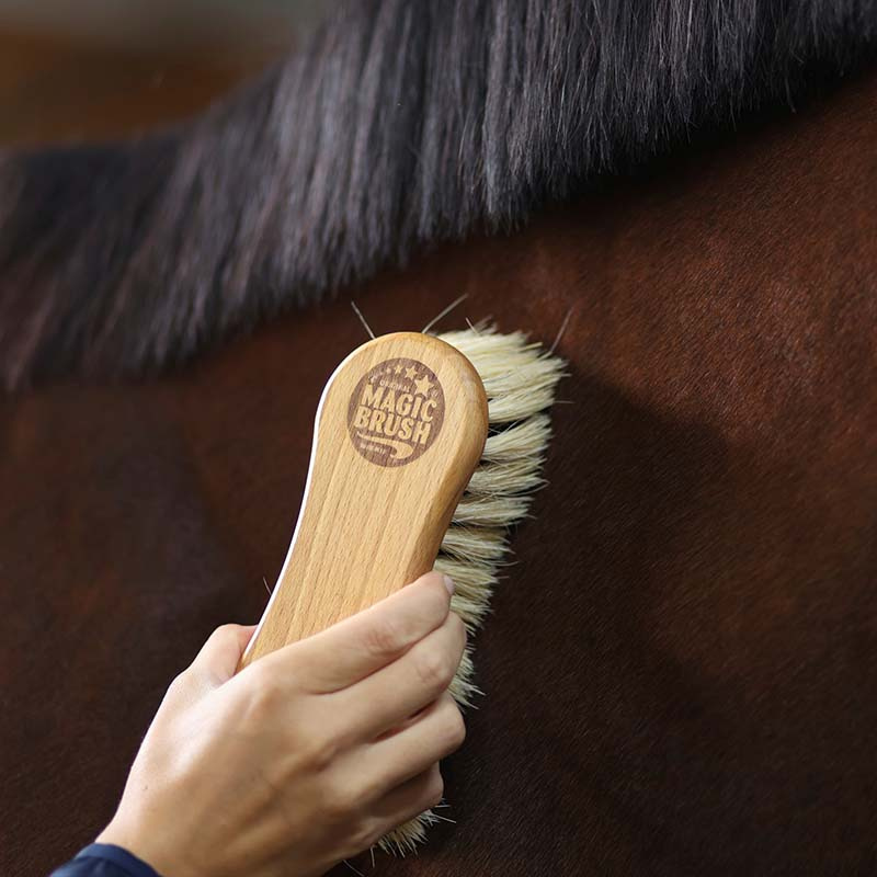 Borstel Combi Paardenhaar/Fiber
