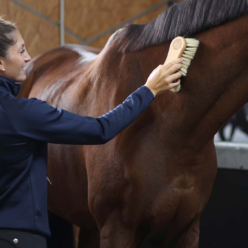 Borstel Combi Paardenhaar/Fiber