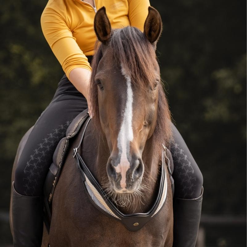 Halsring Leer Whisper NH Zwart