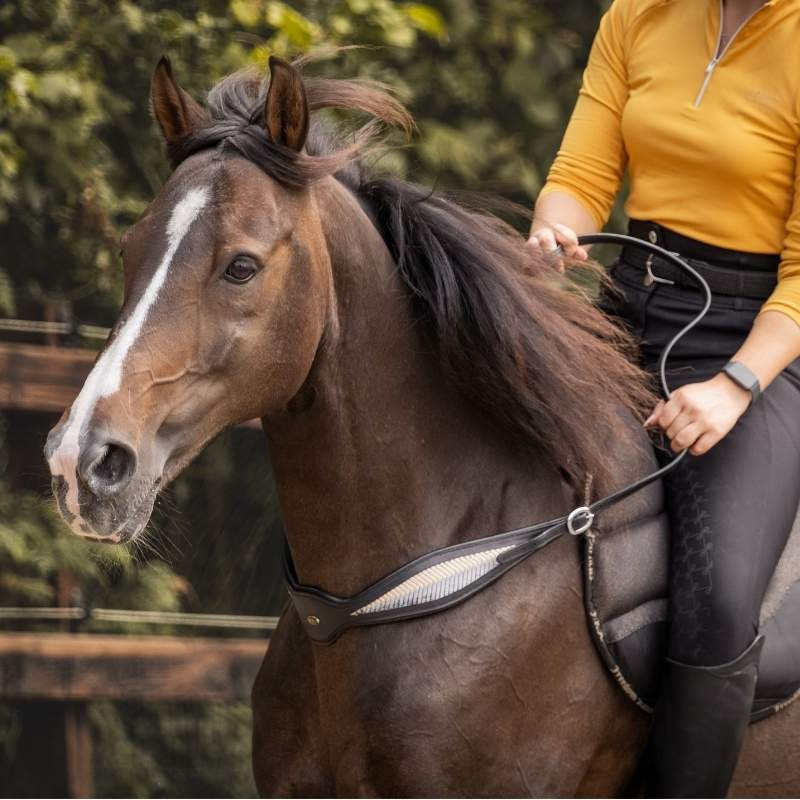 Halsring Leer Whisper NH Zwart