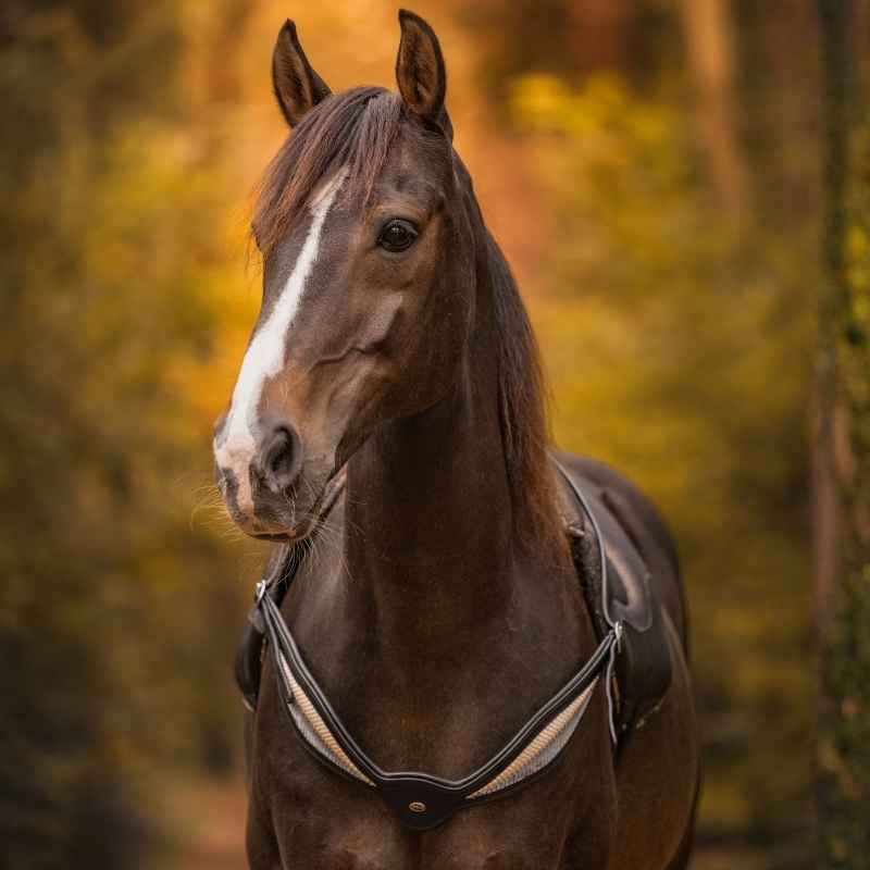 Halsring Leer Whisper NH Zwart