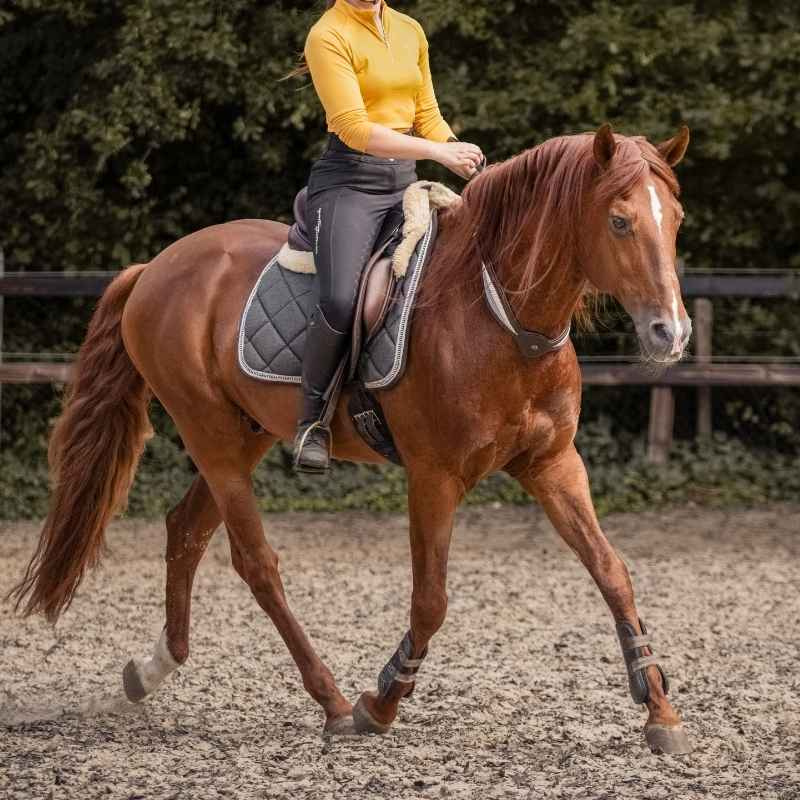 Halsring Leer Whisper NH Bruin