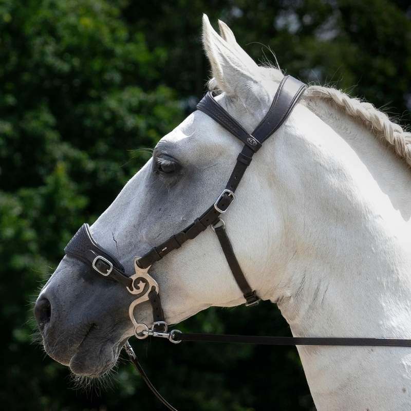 Hackamore Hoofdstel Fiore Zwart