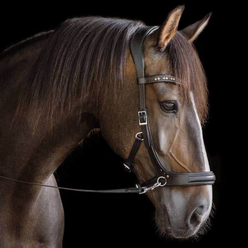 Bitloos Hoofdstel Moonlight Sidepull Zwart