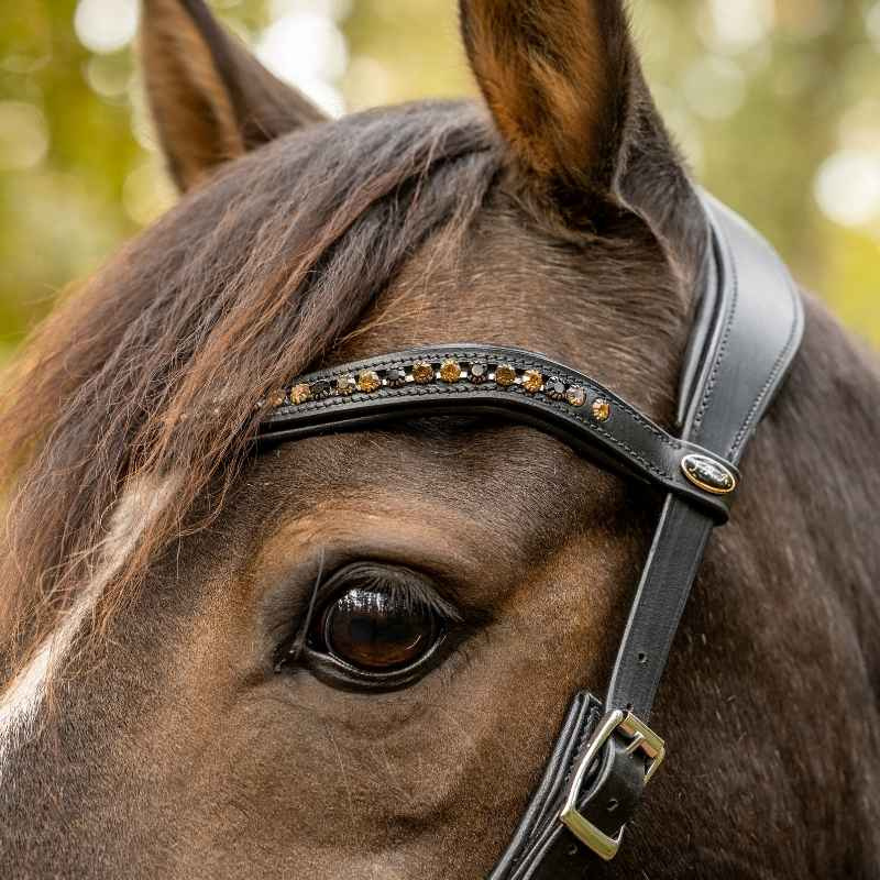 Bitloos Hoofdstel Moonlight Sidepull Zwart