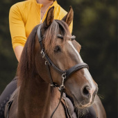 Bitloos Hoofdstel Moonlight Sidepull Zwart Bitloos Hoofdstel Moonlight Sidepull Zwart