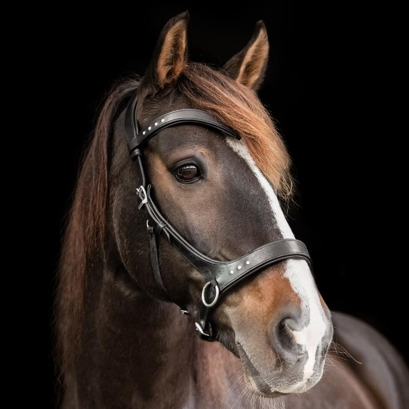 Bitloos Hoofdstel Glory Sidepull Zwart