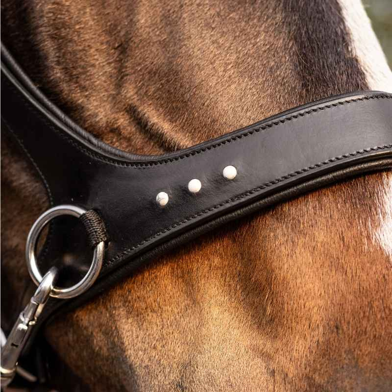 Bitloos Hoofdstel Glory Sidepull Zwart