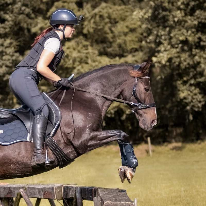 Bitloos Hoofdstel Glory Sidepull Zwart
