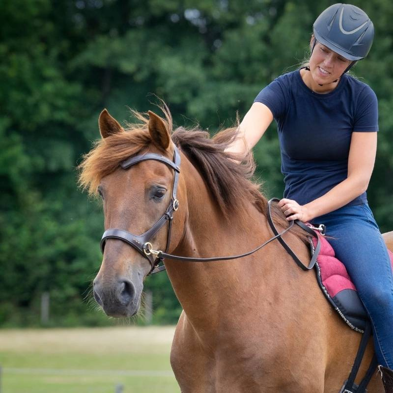 Bitloos Hoofdstel Glory Sidepull Bruin