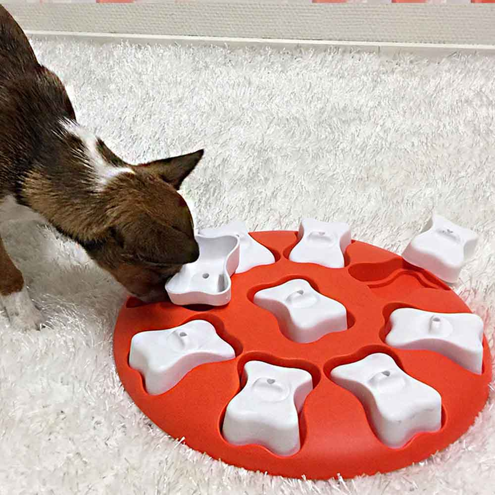 Activiteitsspeeltje Dog Smart Level 1 Rood/Wit
