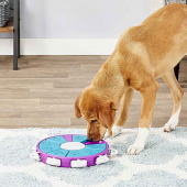 Activiteitsspeeltje Dog Twister Level 3 Paars/Turquoise/Wit