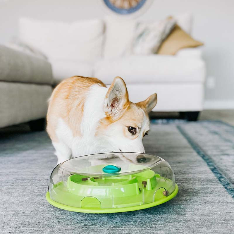 Activiteitsspeeltje Wobble Bowl Level 1 Turquoise/Groen