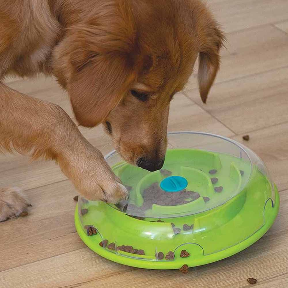 Activiteitsspeeltje Wobble Bowl Level 1 Turquoise/Groen