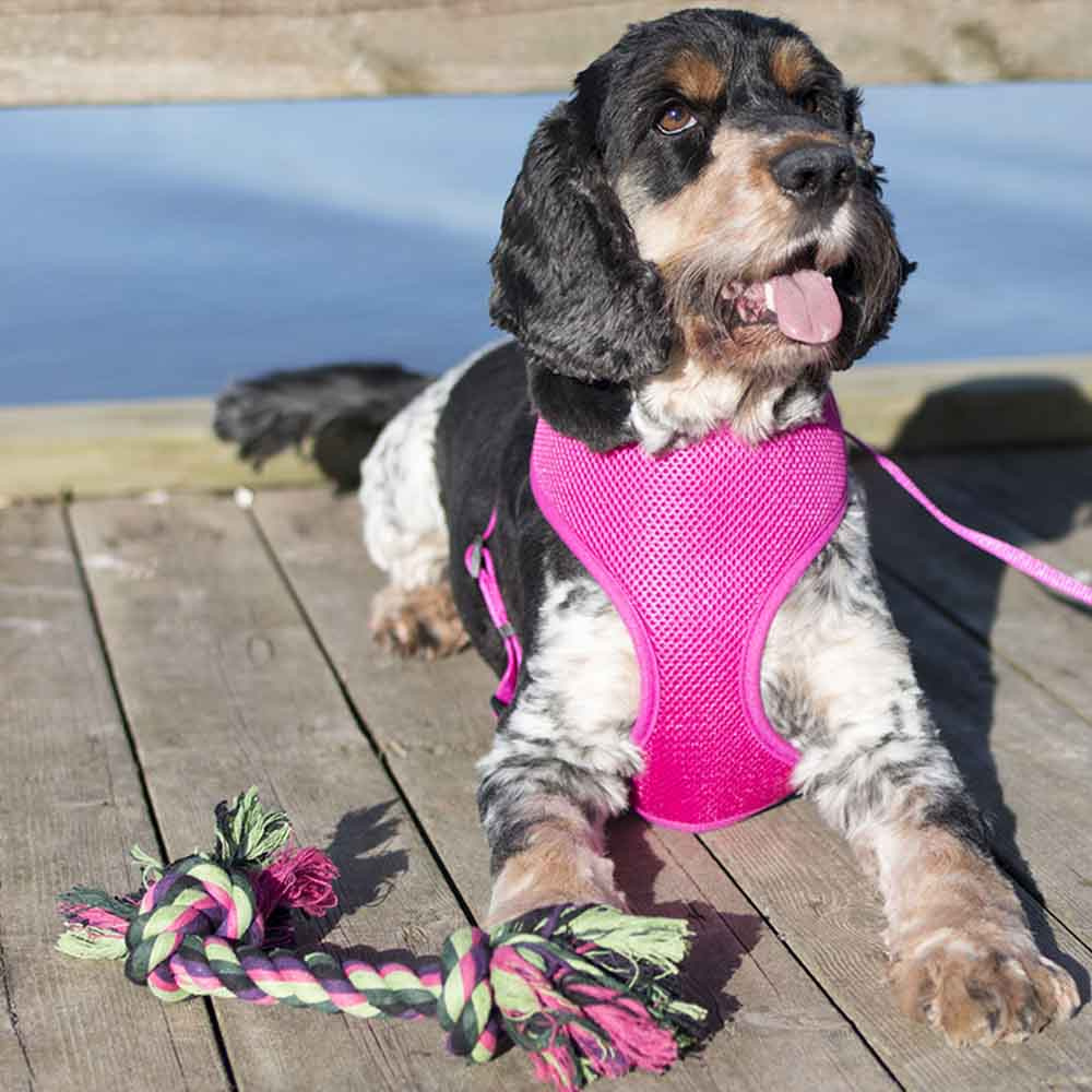 Hondenspeeltje Vixen Touwknoop Groen/Zwart/Roze