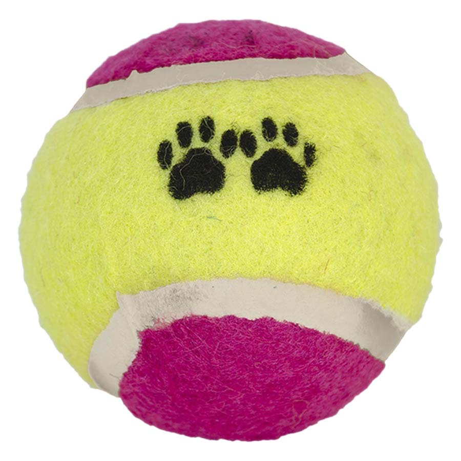 Ball Launcher met Tennisbal Wille Zwart