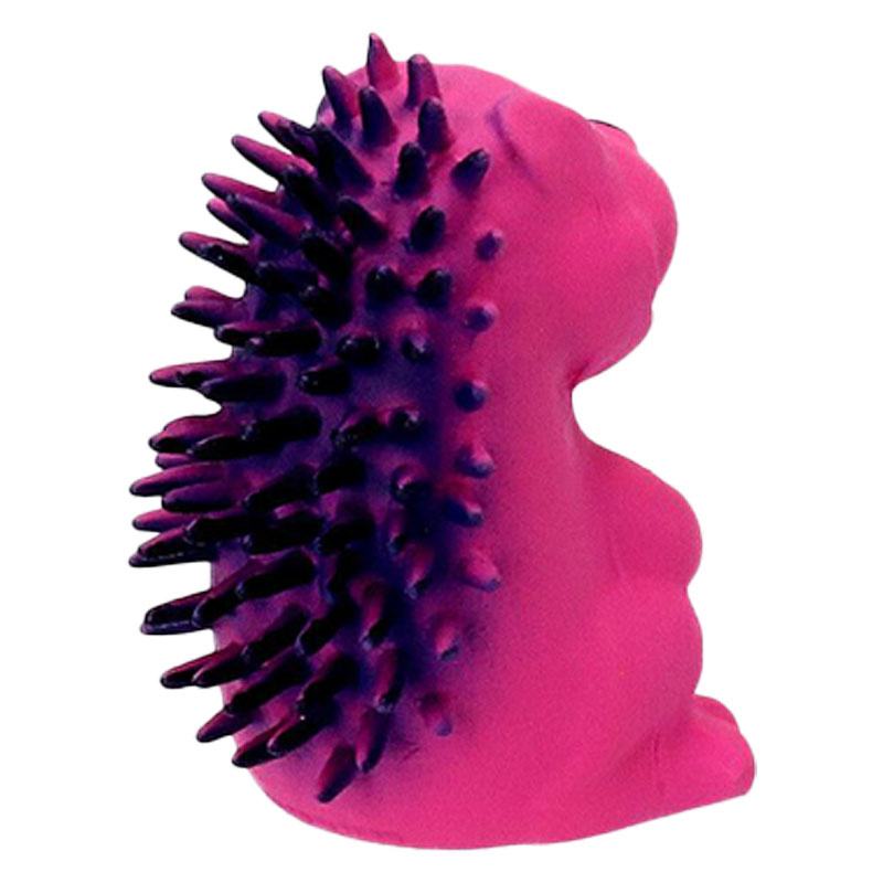 Hondenspeeltje Egel Roze
