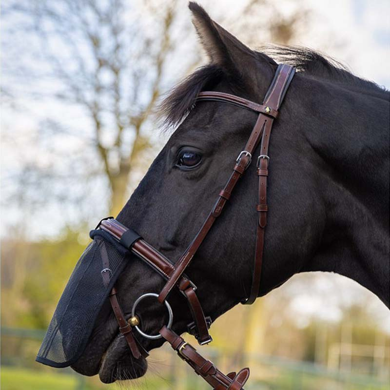 Mulbeschermer Mesh Zwart