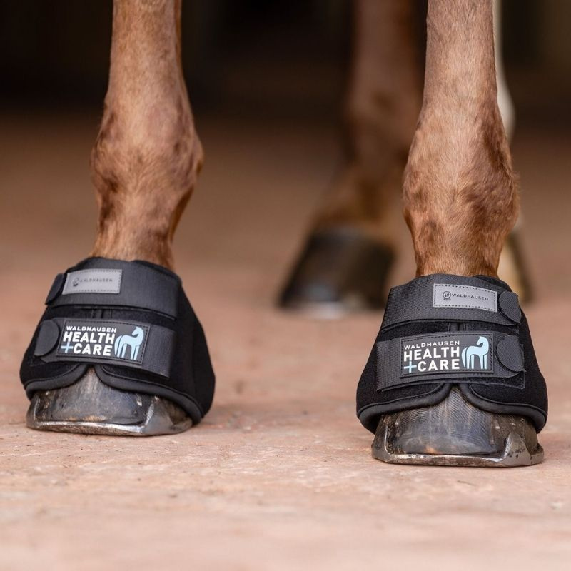 Koelhoefschoenen Cooling Zwart